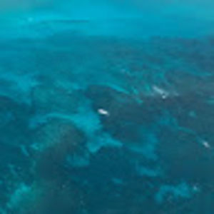 Meet your Posher, Shantel